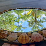 Marigot Art Miami Florida Home Decor Mirror Art Shells Beach