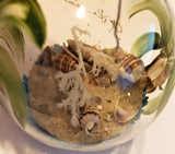 Marigot Art Glass Ornament Palm