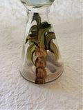 Marigot Art Sand Bottle Palm